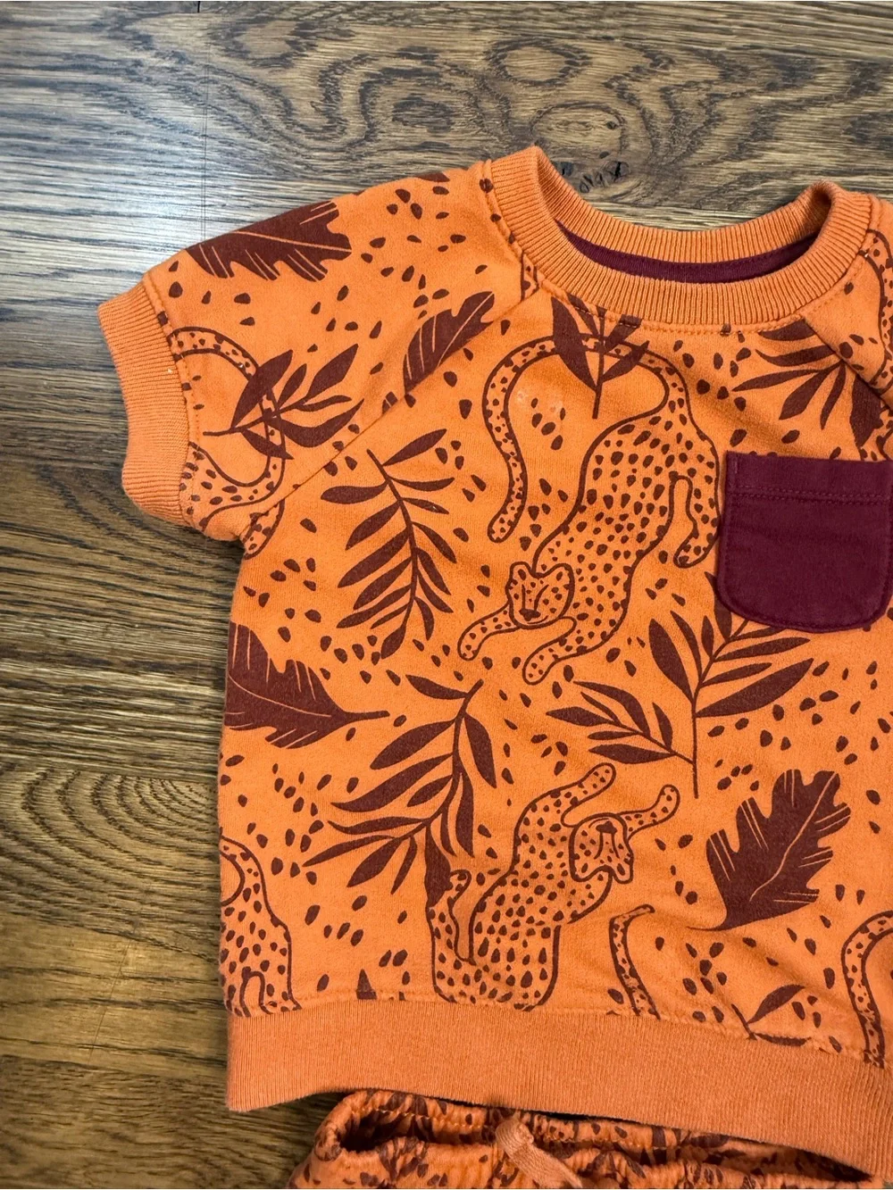 Cat & Jack x Danielle Peterson Kids Cheetah Print Sweatshirt/ Short Set 18 M